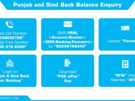 How to check Punjab and Sind Account Balance