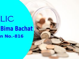 lic new bima bachat plan 816
