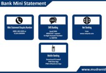 How to Get PNB Bank Mini Statement Mini statement Enquiry Number, Mobile Banking, Net banking